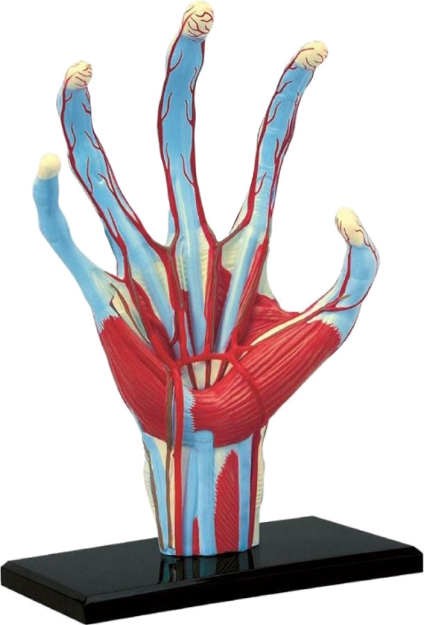 3D пазл 4D Master Hand 626009