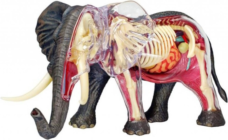 3D пазл 4D Master Elephant 622037