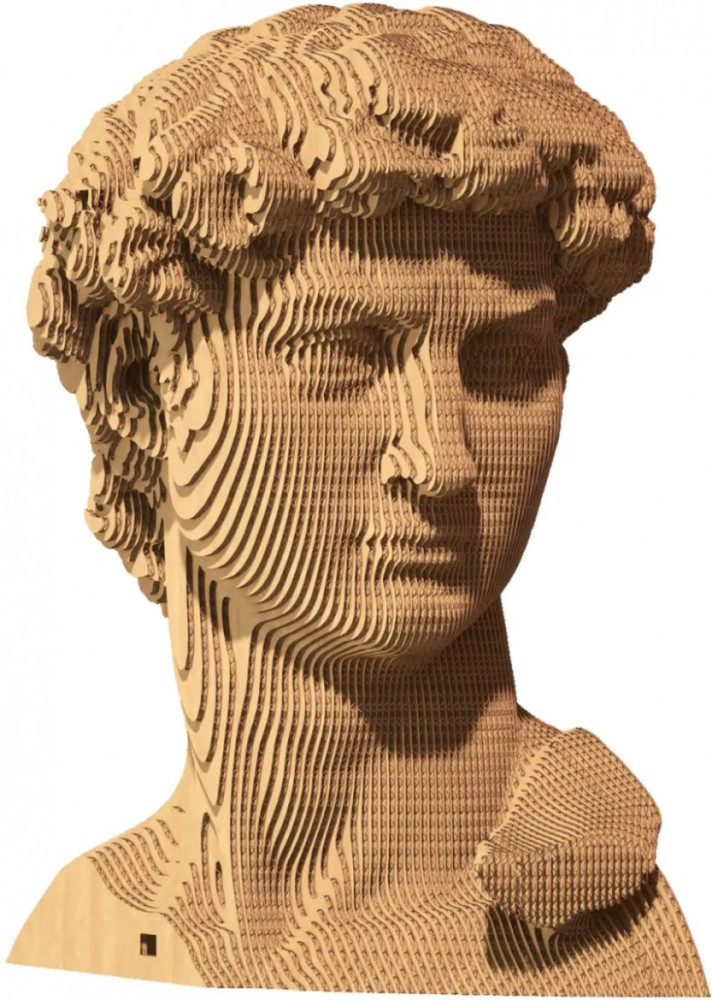 3D пазл Сartonic David