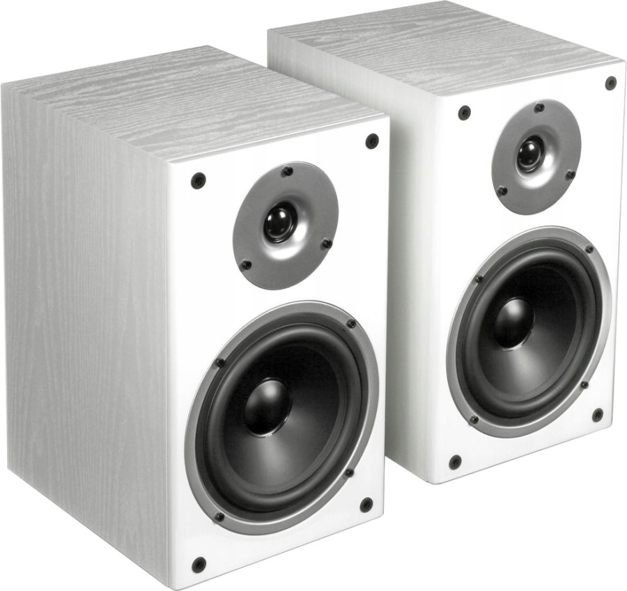 Акустическая система Wilson Raptor 1