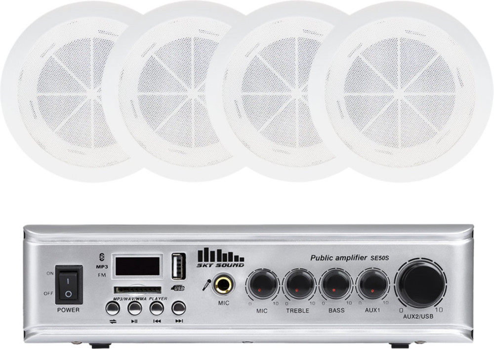 Акустична система Sky Sound CSE-2504