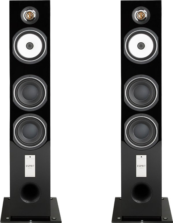 Акустическая система Triangle Esprit Antal EZ