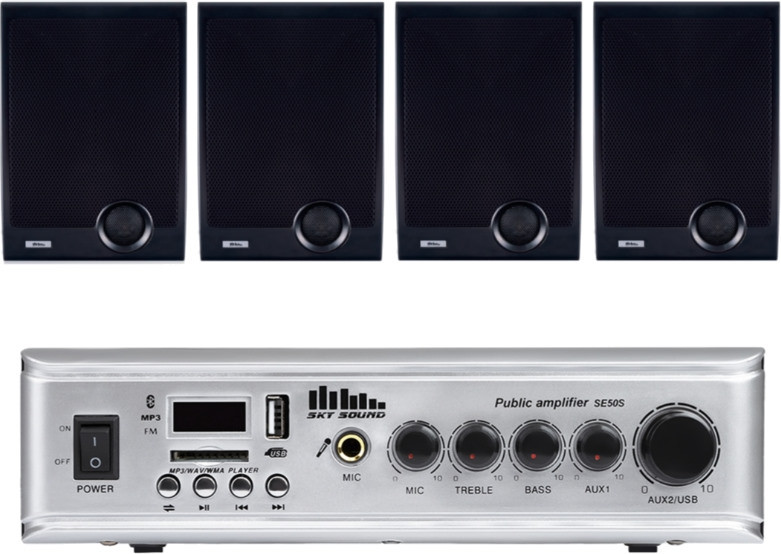 Акустична система Sky Sound WSE-2504