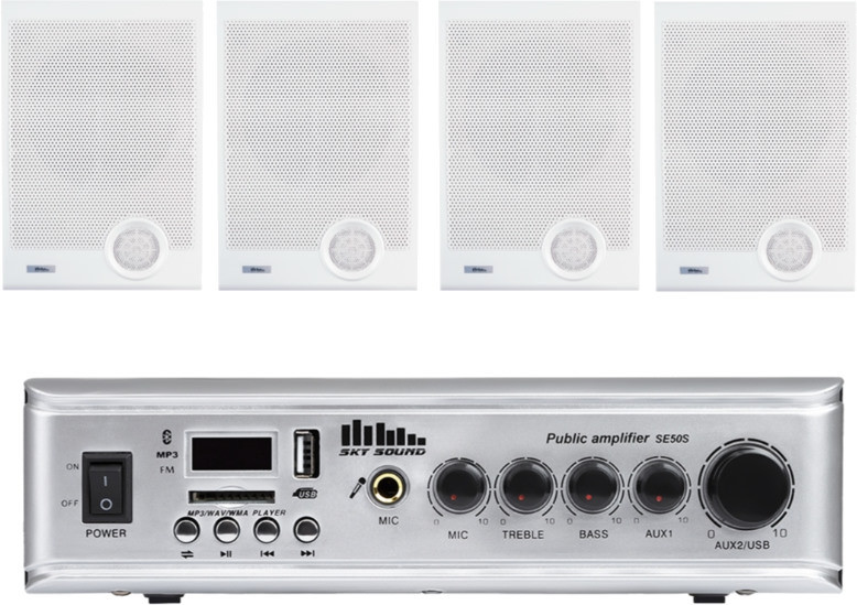 Акустична система Sky Sound WSE-2004