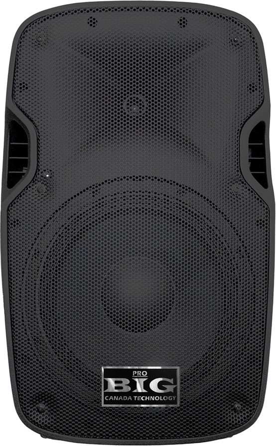 Акустическая система BIG JB10L250