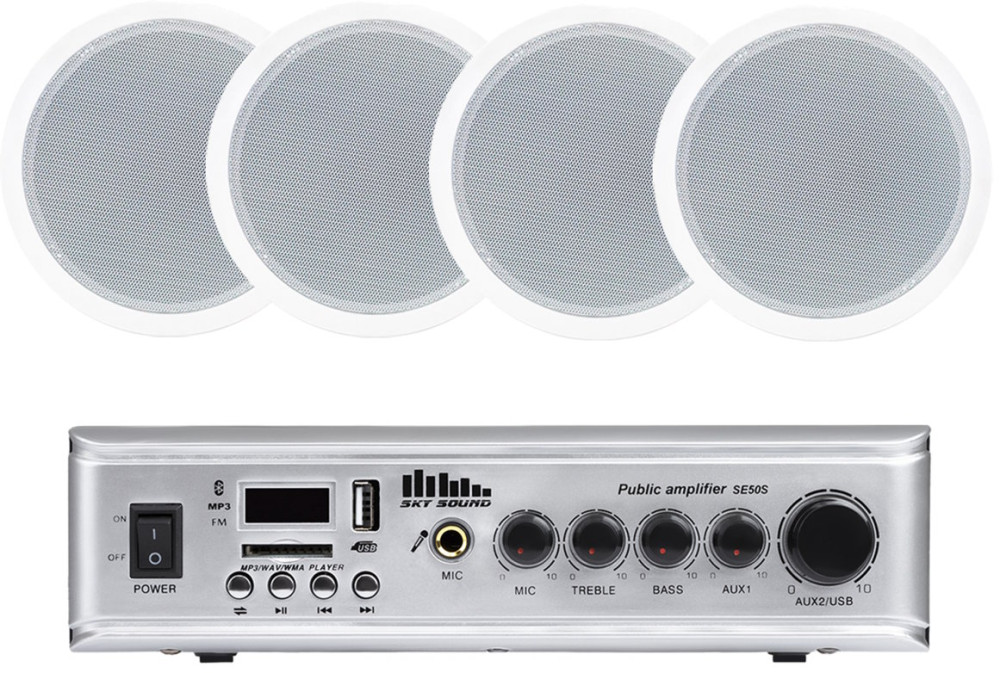 Акустическая система Sky Sound CSE-3104