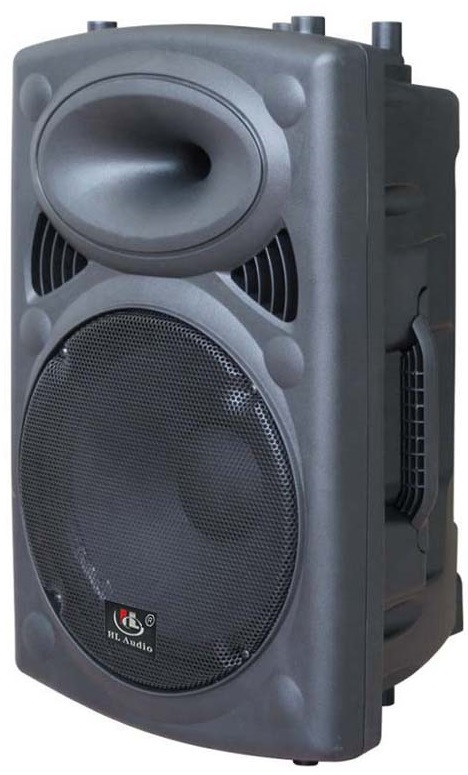 Акустическая система HL Audio USK-12A