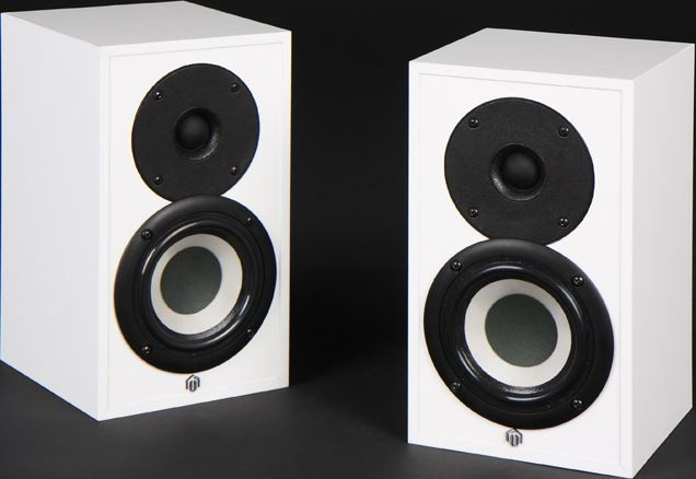 Акустична система Pylon Audio Pearl Sat