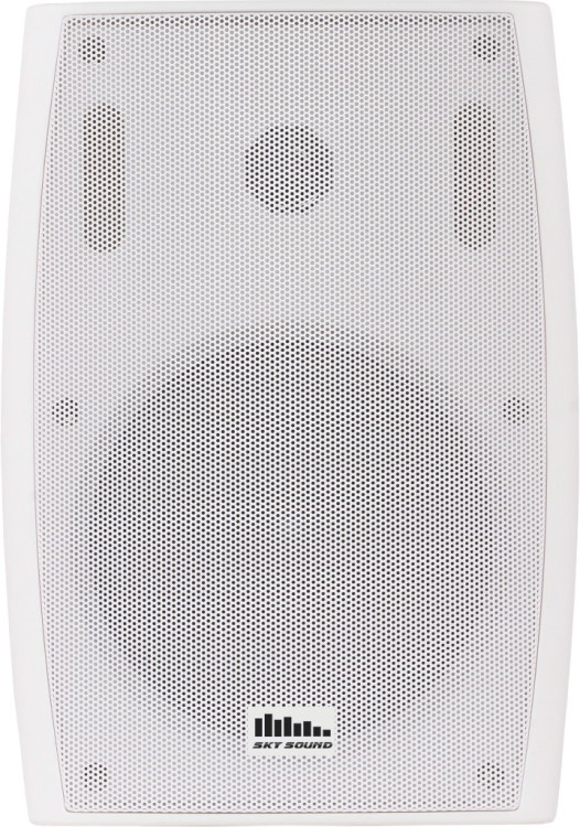 Акустическая система Sky Sound LS-45
