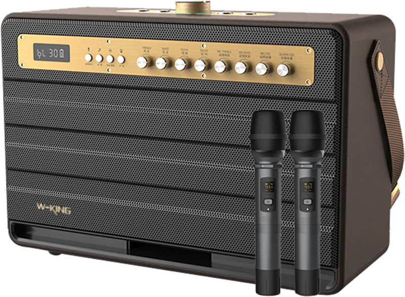 Аудиосистема W-King K6L