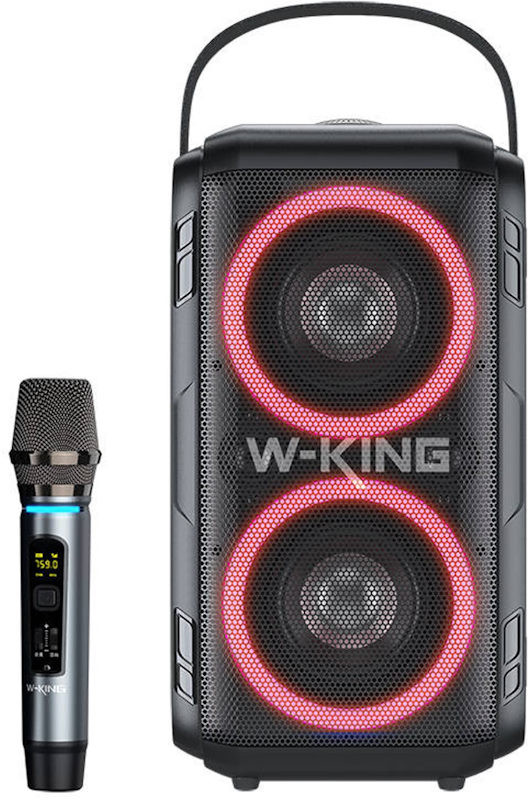 Аудиосистема W-King T9
