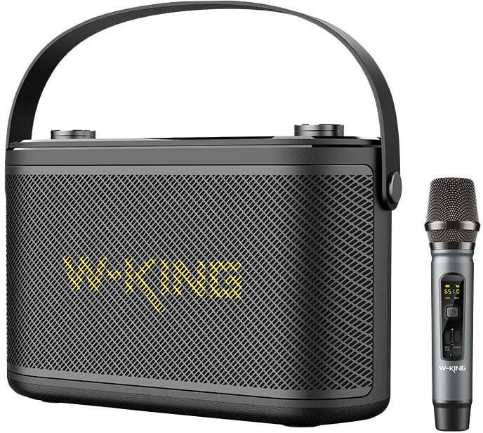 Аудиосистема W-King H10S