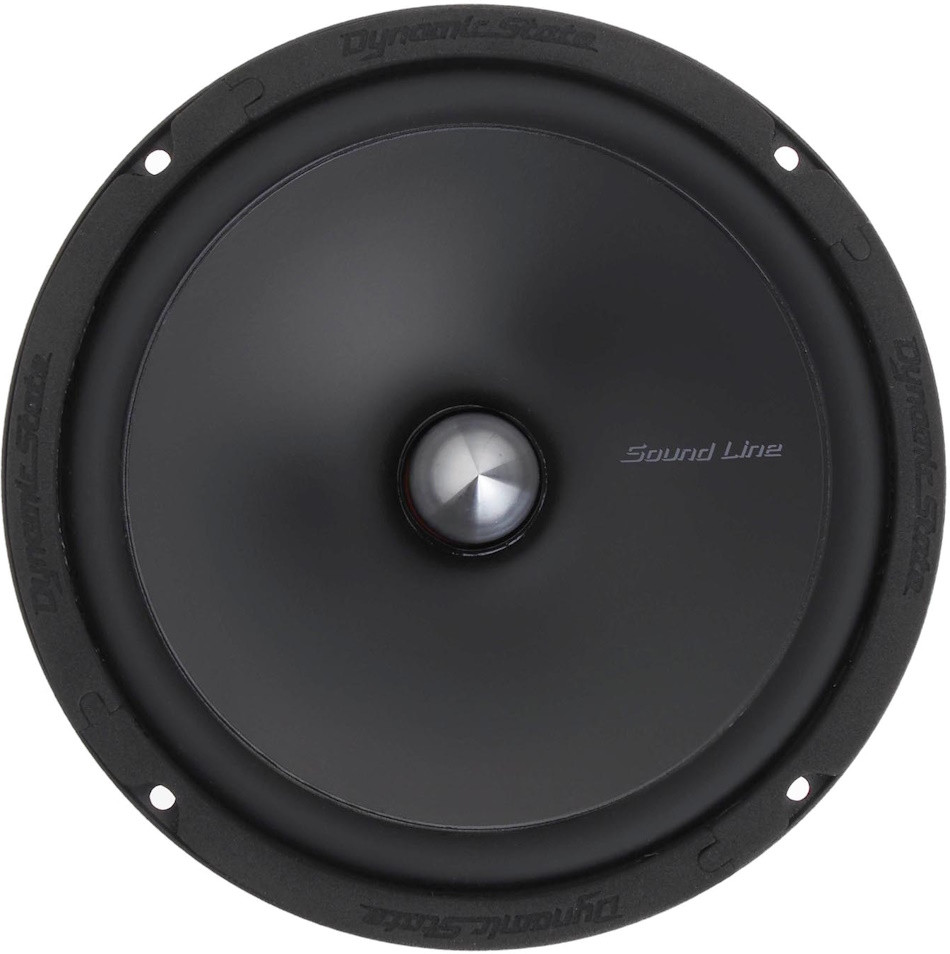 Автоакустика Dynamic State SOUND LINE SLE-165M