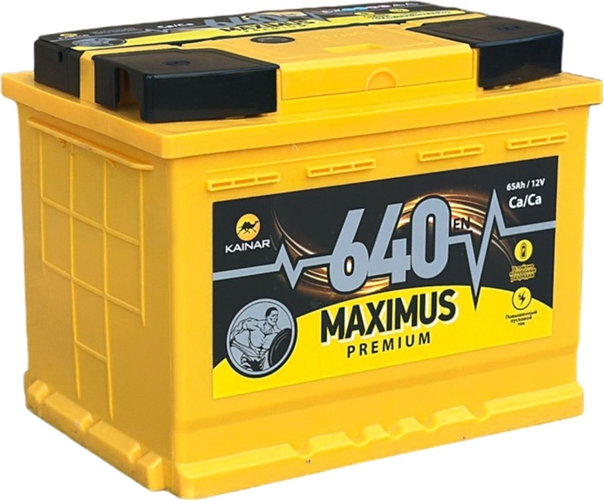Автоакумулятор Kainar Maximus Premium 50L