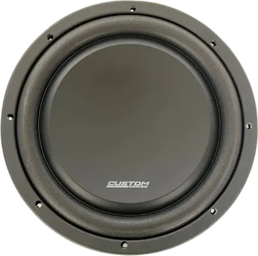 Автосабвуфер Dynamic State CUSTOM CSW-S25