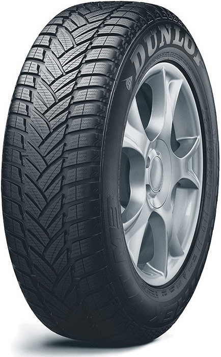 Зимняя шина Dunlop Grandtrek WT M3 255/50 R19 107V