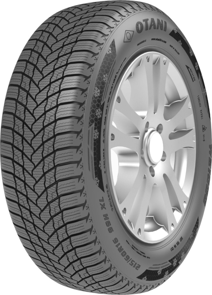 Зимняя шина OTANI WE1000 205/60 R16 92H