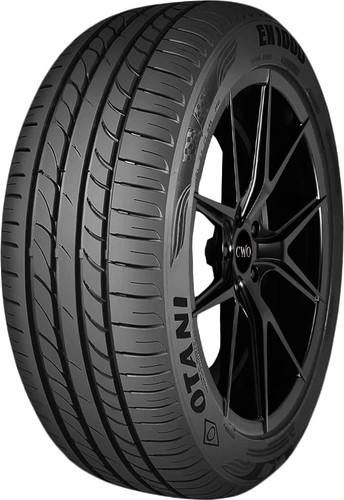 Літня шина OTANI EK1000 195/70 R14 91H