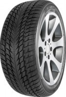Зимняя шина Fortuna Gowin UHP2 205/40 R17 84V