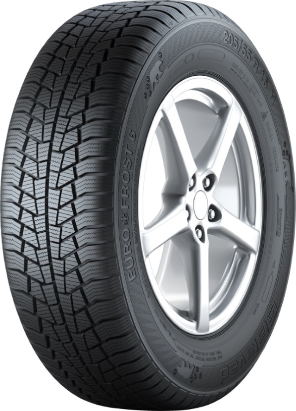 Зимняя шина Gislaved Euro Frost 6 245/45 R18 100V