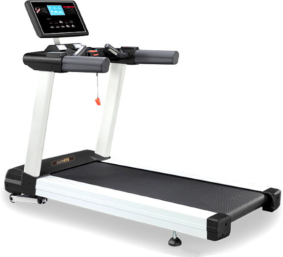 Беговая дорожка EuroFit FZ 550 L