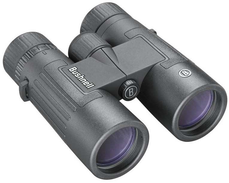 Бинокль Bushnell Legend 8x42 (BB842W)