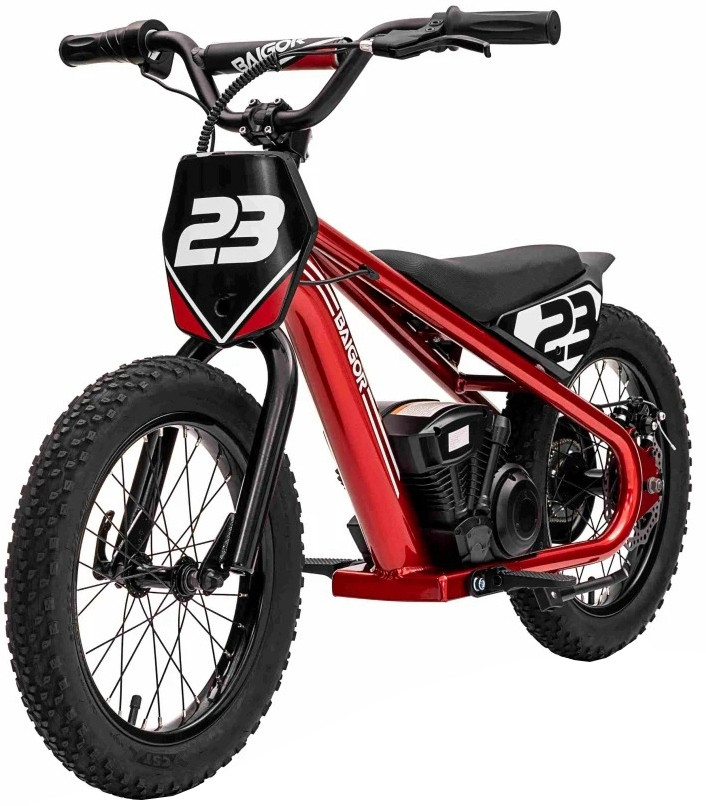 Електромотоцикл Ramiz Baigor 23 Pro