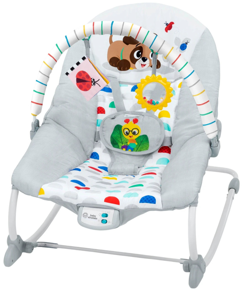Кресло-качалка Baby Einstein Deans Discovery Spot 17193