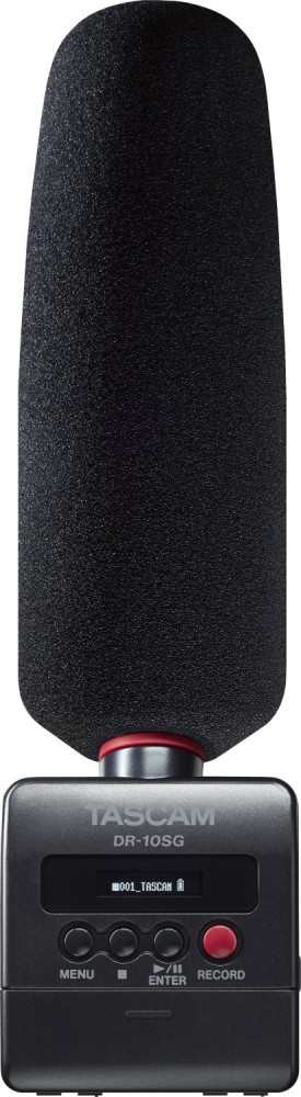 Диктофон Tascam DR-10SG