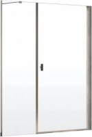 Душевая перегородка Radaway Nes DWS 120 R 10028120-01-01R