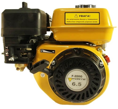 Двигун Forte F200G
