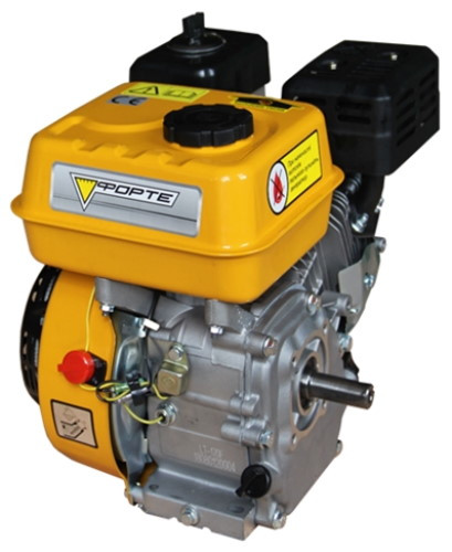 Двигун Forte F210GS-20