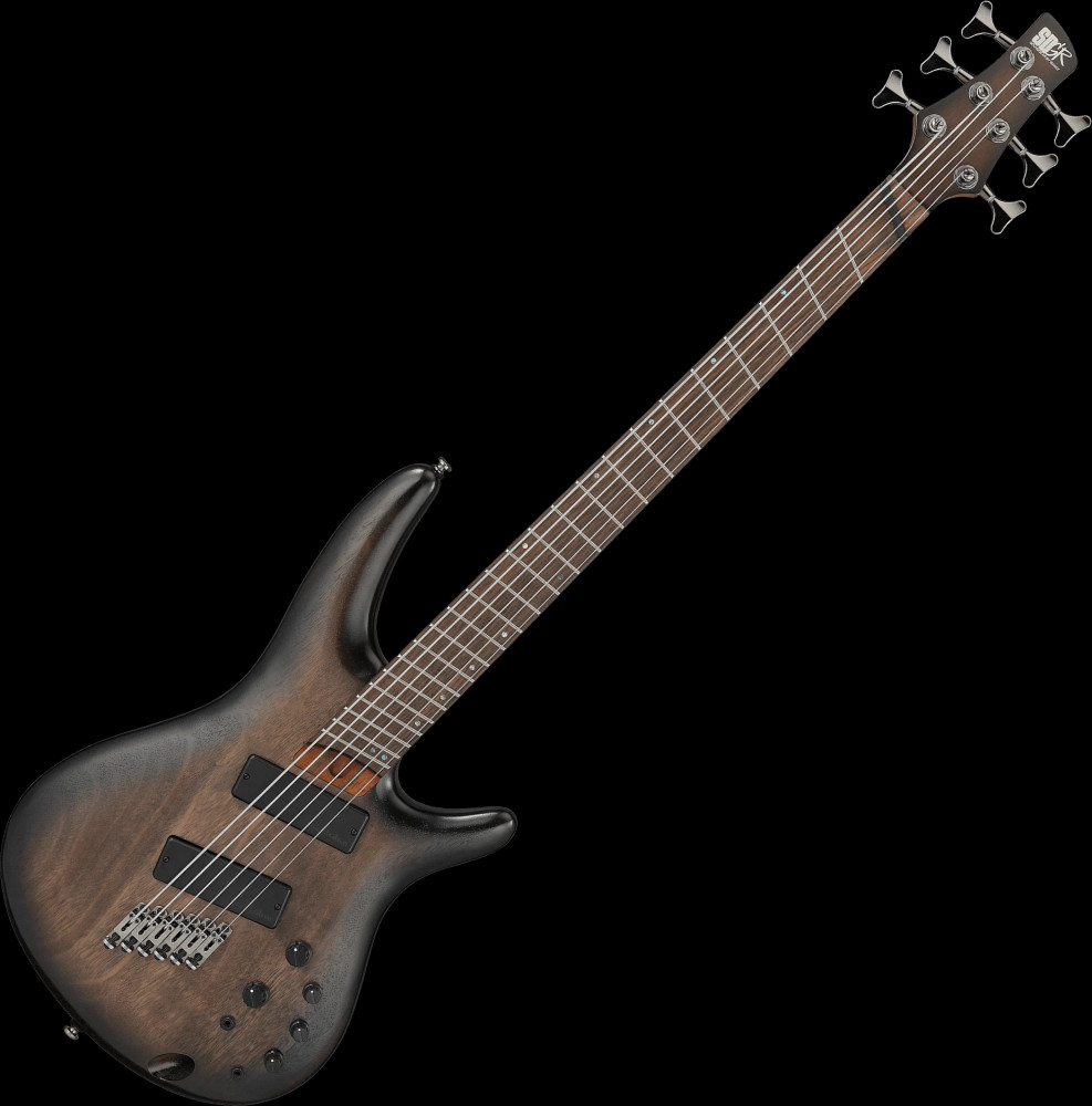 Бас-гітара Ibanez SRC6MS