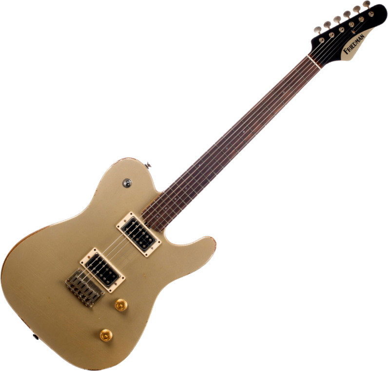 Електрогітара Friedman ARGNH Vintage-T