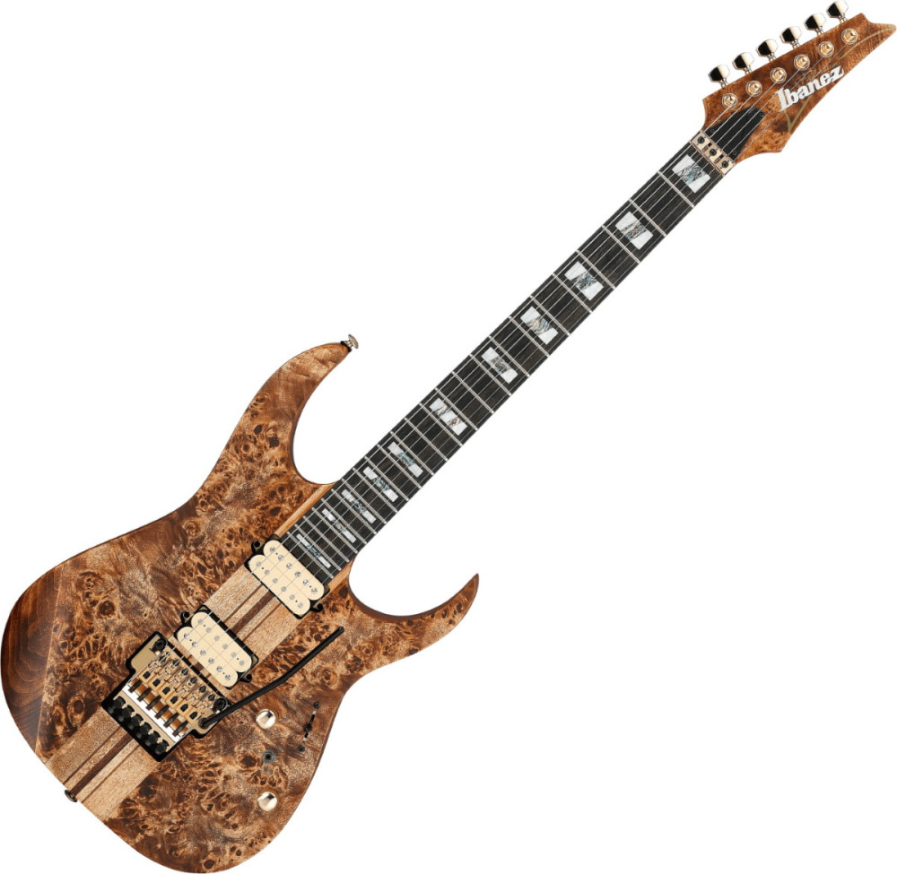 Електрогітара Ibanez RGT1220PB