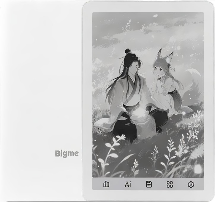 Электронная книга Bigme B6 BW