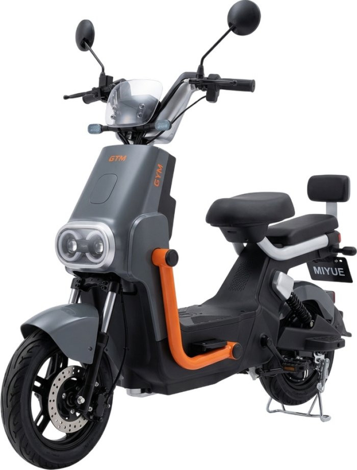 Електроскутер GTM U-800-D
