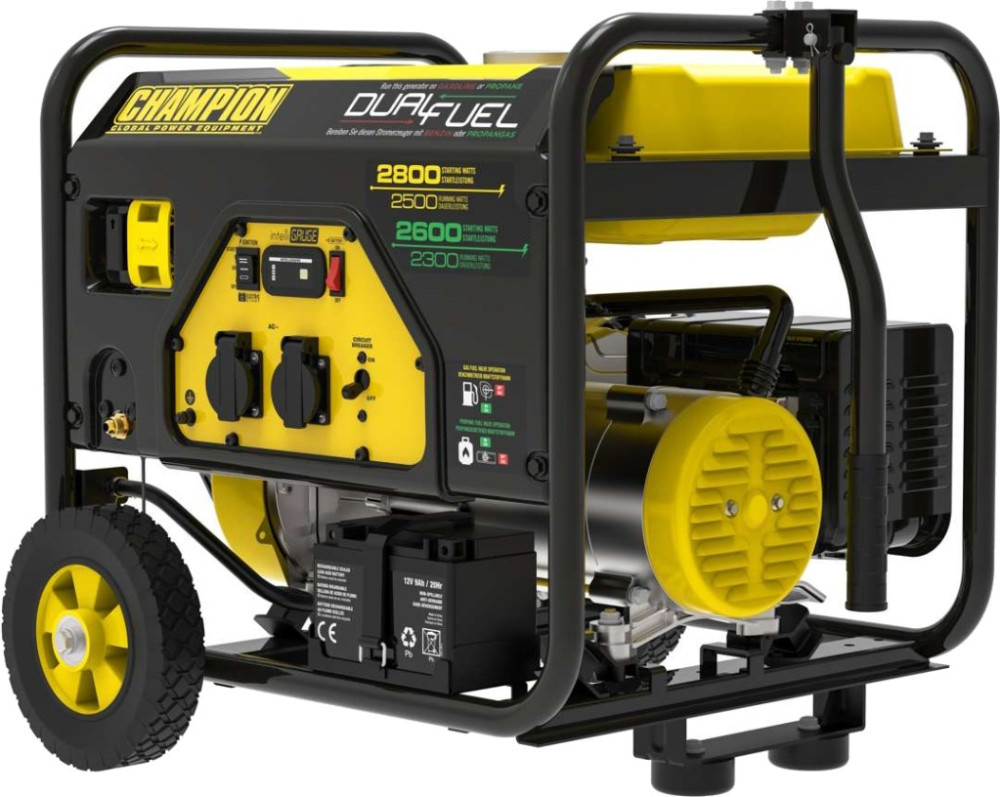 Электрогенератор CHAMPION CPG3500E2-DF-EU