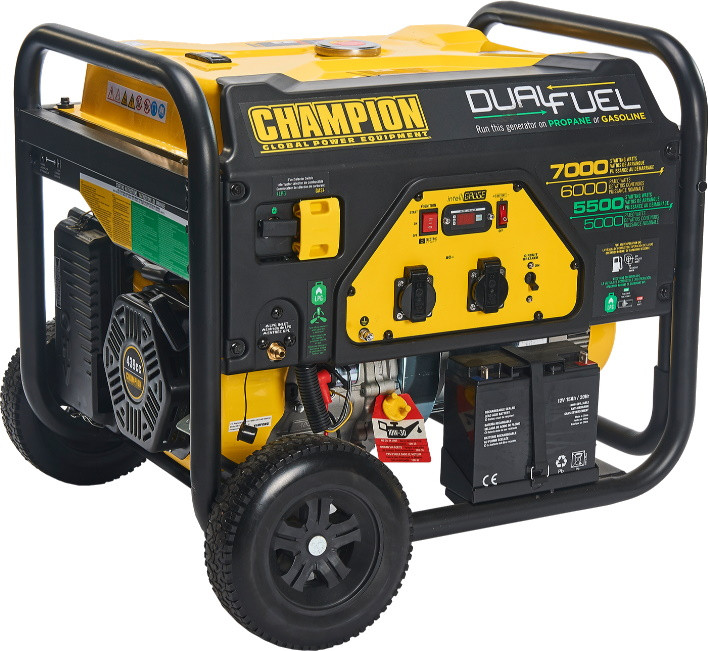 Электрогенератор CHAMPION CPG7500E2-DF-EU