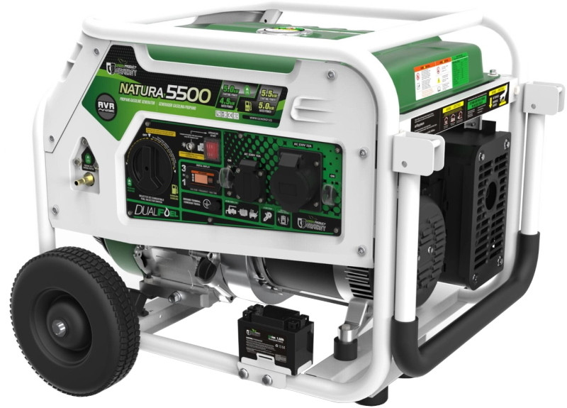 Электрогенератор GENERGY Natura 5500
