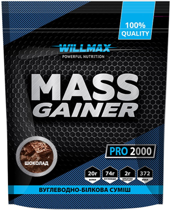 Гейнер WILLMAX Mass Gainer