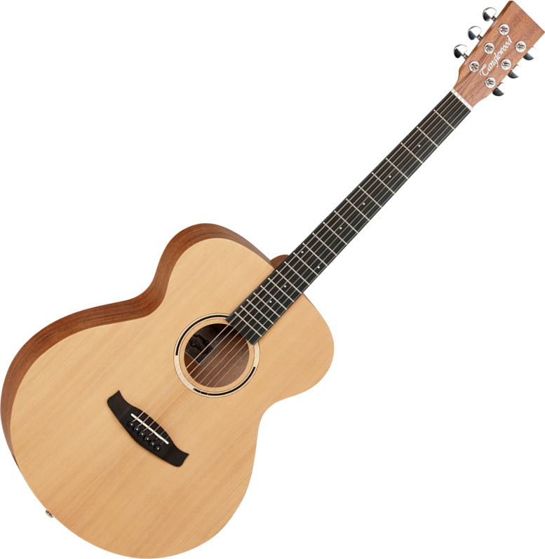 Акустична гітара Tanglewood TWR2 O