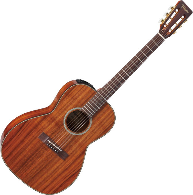 Электроакустическая гитара Takamine EF407
