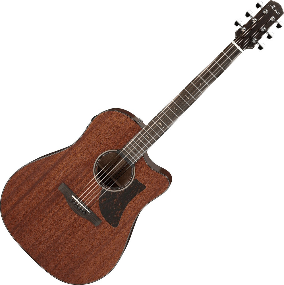 Электроакустическая гитара Ibanez AAD440CE