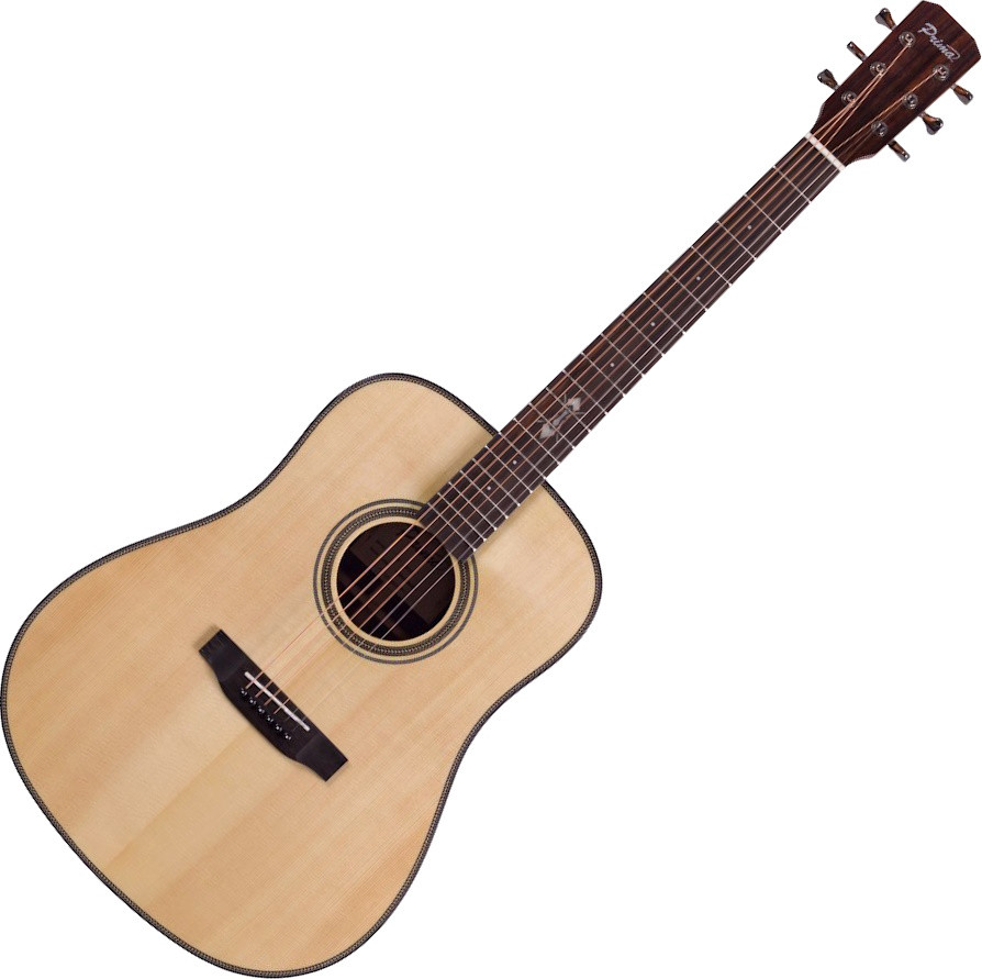 Акустична гітара Prima MAG215