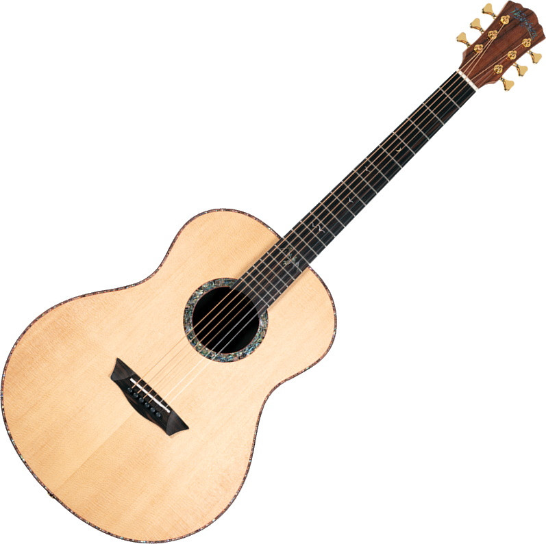 Акустическая гитара Washburn Elegante S24S