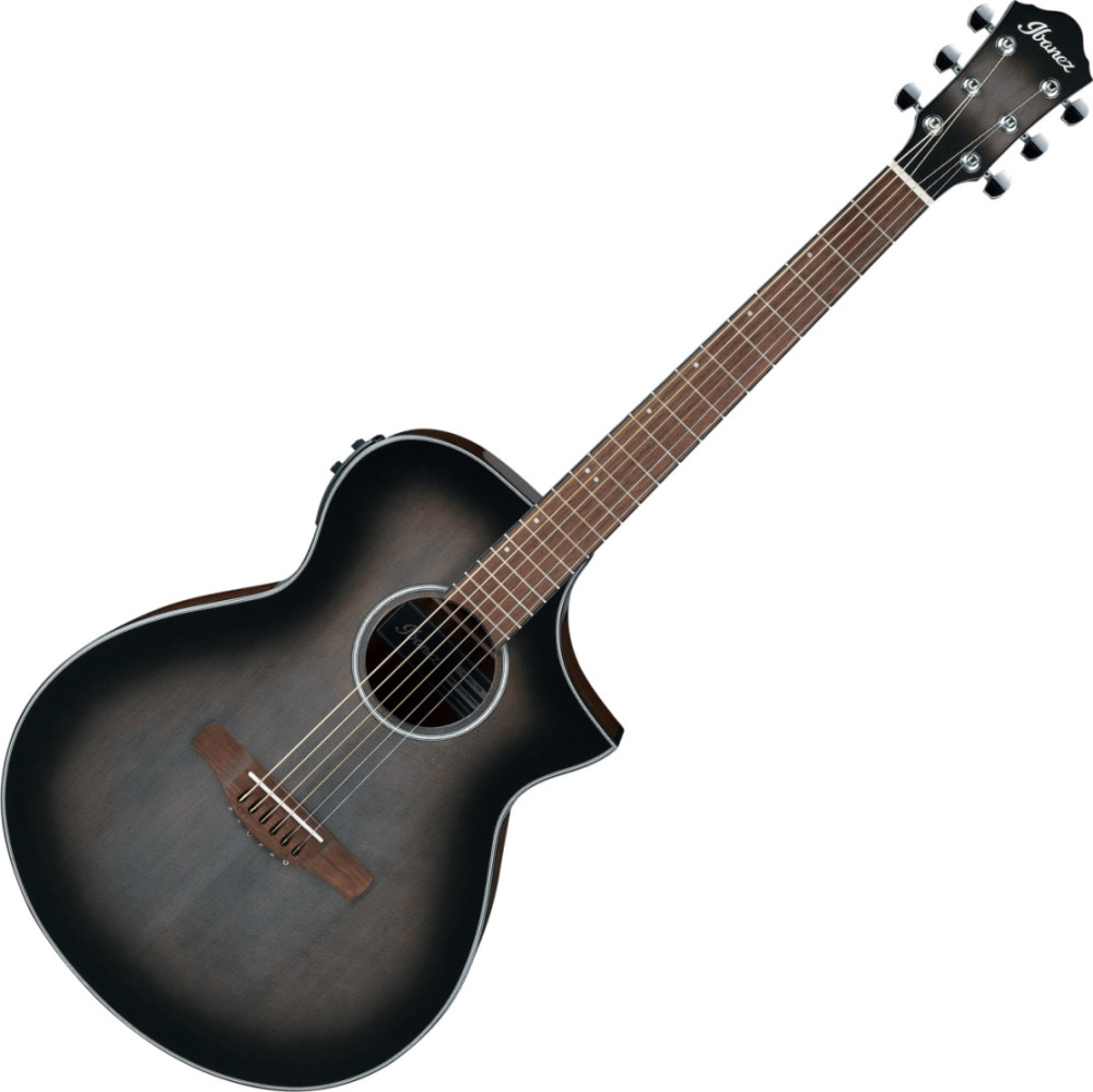 Электроакустическая гитара Ibanez AEWC11