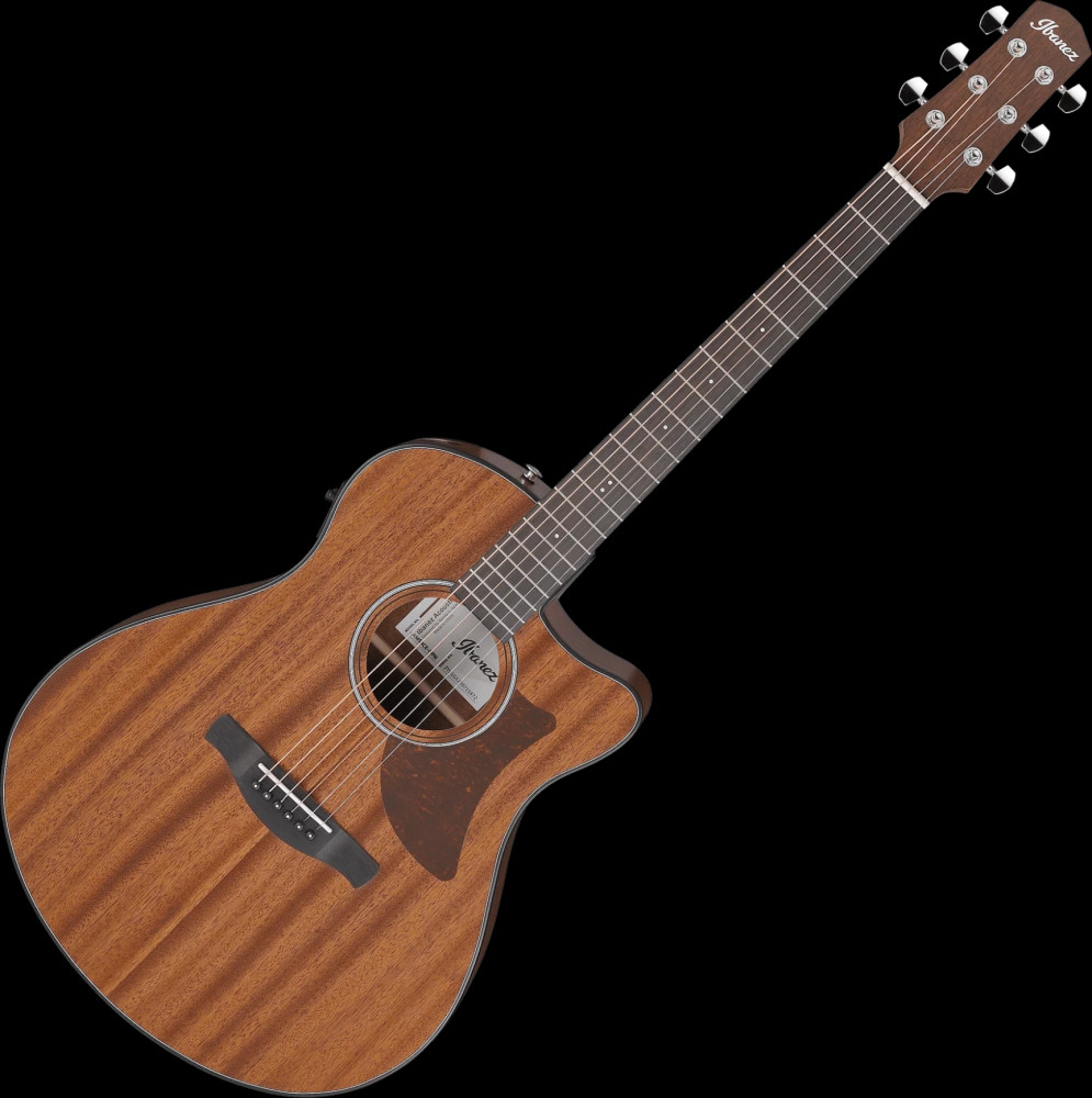 Электроакустическая гитара Ibanez AAM54CE