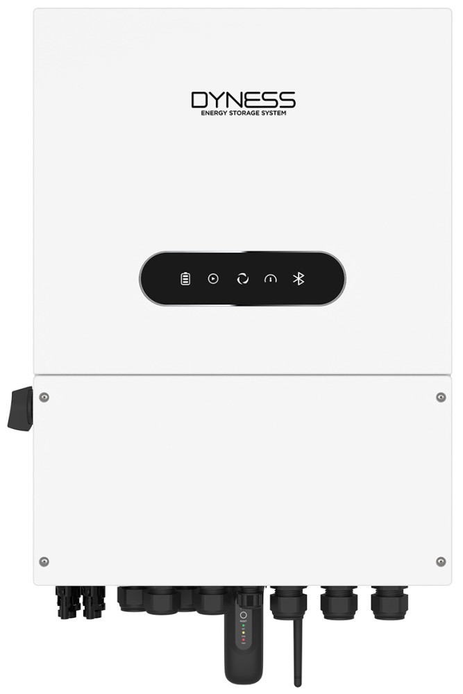 нвертор Dyness 5.0L-1P-A