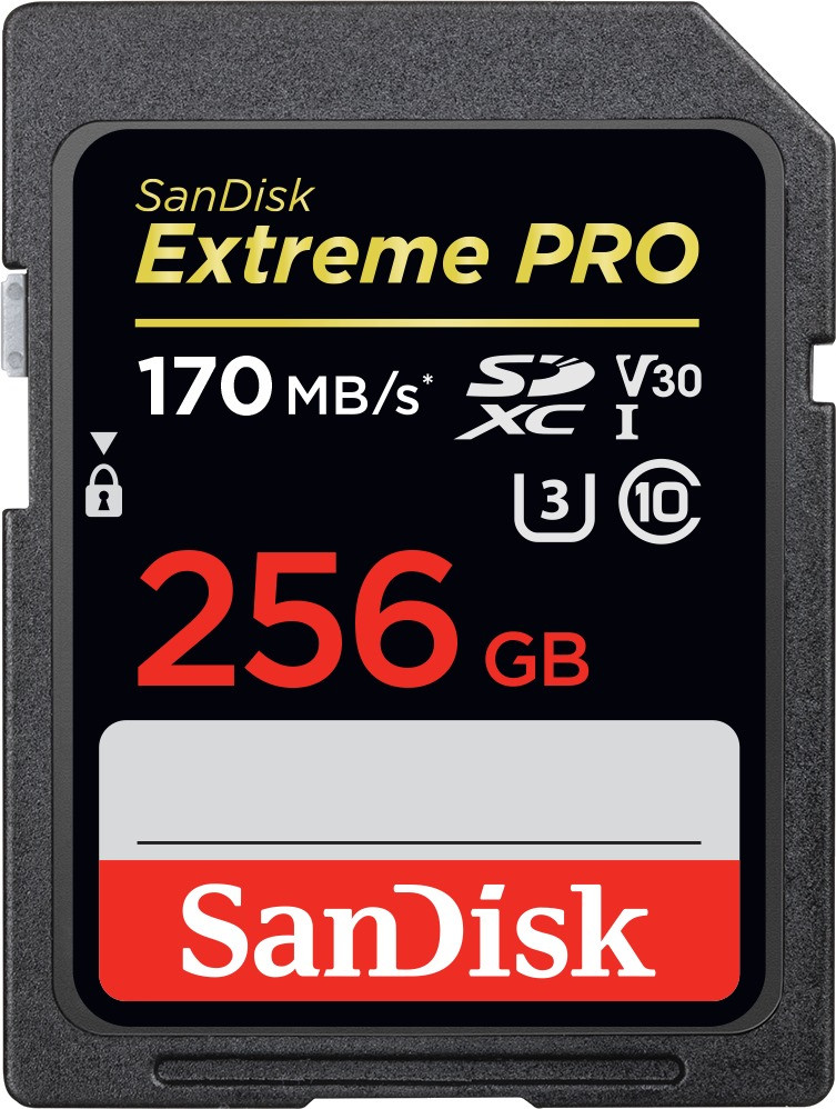 Карта памяти SanDisk Extreme Pro V30 SDXC UHS-I U3 256 ГБ (SDSDXXY-256G-GN4IN)